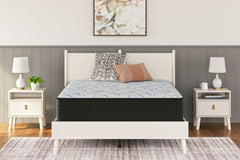 Elite Furniture Outlet - Ashley Furniture - Elite Springs Plush Mattresses - California King / Gray/Blue - M40651