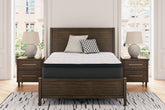 Elite Furniture Outlet - Ashley Furniture - Limited Edition PT Mattresses - Full / White - M41221