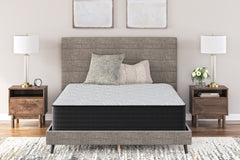Elite Furniture Outlet - Ashley Furniture - Palisades Plush Mattresses - King / Gray/Blue - M41641