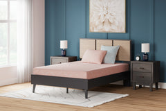 Elite Furniture Outlet - Ashley Furniture - iKidz Coral Mattresses - Twin and Pillow 2/CN / Coral - M43111