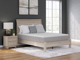 Elite Furniture Outlet - Ashley Furniture - Terra Sleep Medium Mattresses - California King / White - M52351