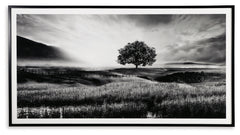 Elite Furniture Outlet - Ashley Furniture - Deborland Wall Decor - Wall Art / Black/White - A8000341