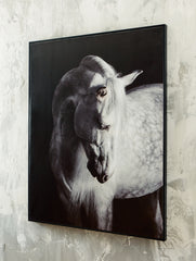 Elite Furniture Outlet - Ashley Furniture - Archerwick Wall Decor - Wall Art / Black/White - A8000409