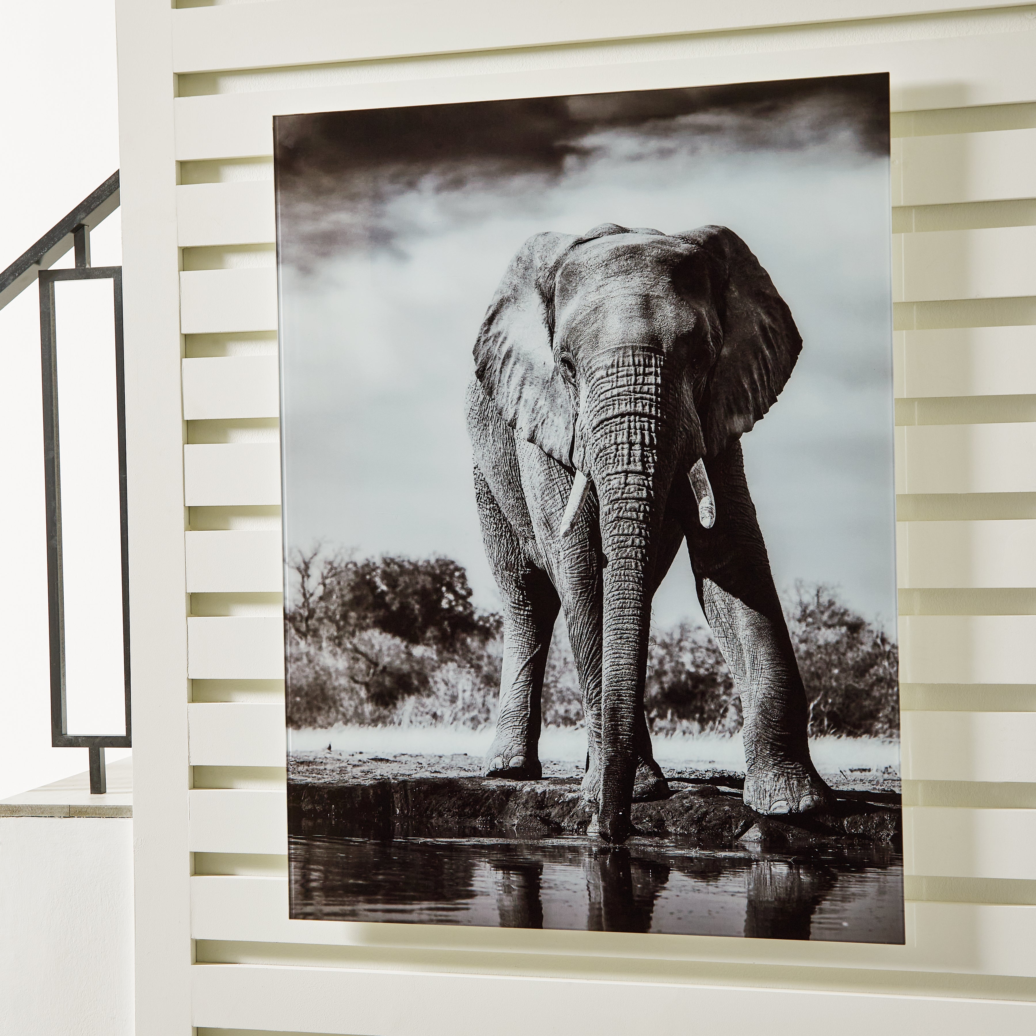 Elite Furniture Outlet - Ashley Furniture - Glinyard Wall Decor - Wall Art / Black/White - A8000421