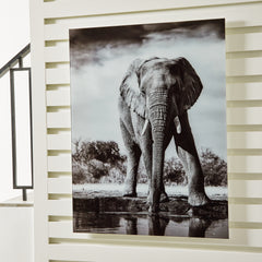 Elite Furniture Outlet - Ashley Furniture - Glinyard Wall Decor - Wall Art / Black/White - A8000421