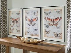 Elite Furniture Outlet - Ashley Furniture - Jossletts Wall Decor - Wall Art Set (3/CN) / Orange/Black/Ivory - A8000490
